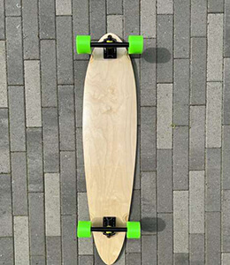 Pintail